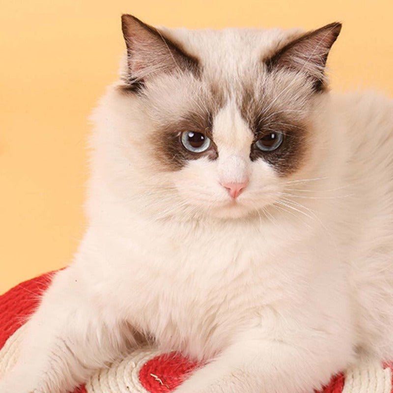 Kratzmatte für Katzen – Möbel-Schutz & Krallenpflege mit natürlichem Sisal, rutschfest & langlebig