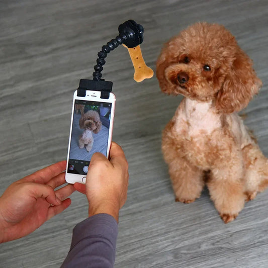 Haustier-Fotografie-Tool – Selfie-Clip mit Leckerli-Halter für Katzen & Hunde – Handyhalter für perfekte Tierfotos